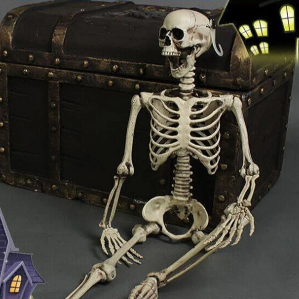 NNEOBA Movable Halloween Skeleton Human Bones Model-3