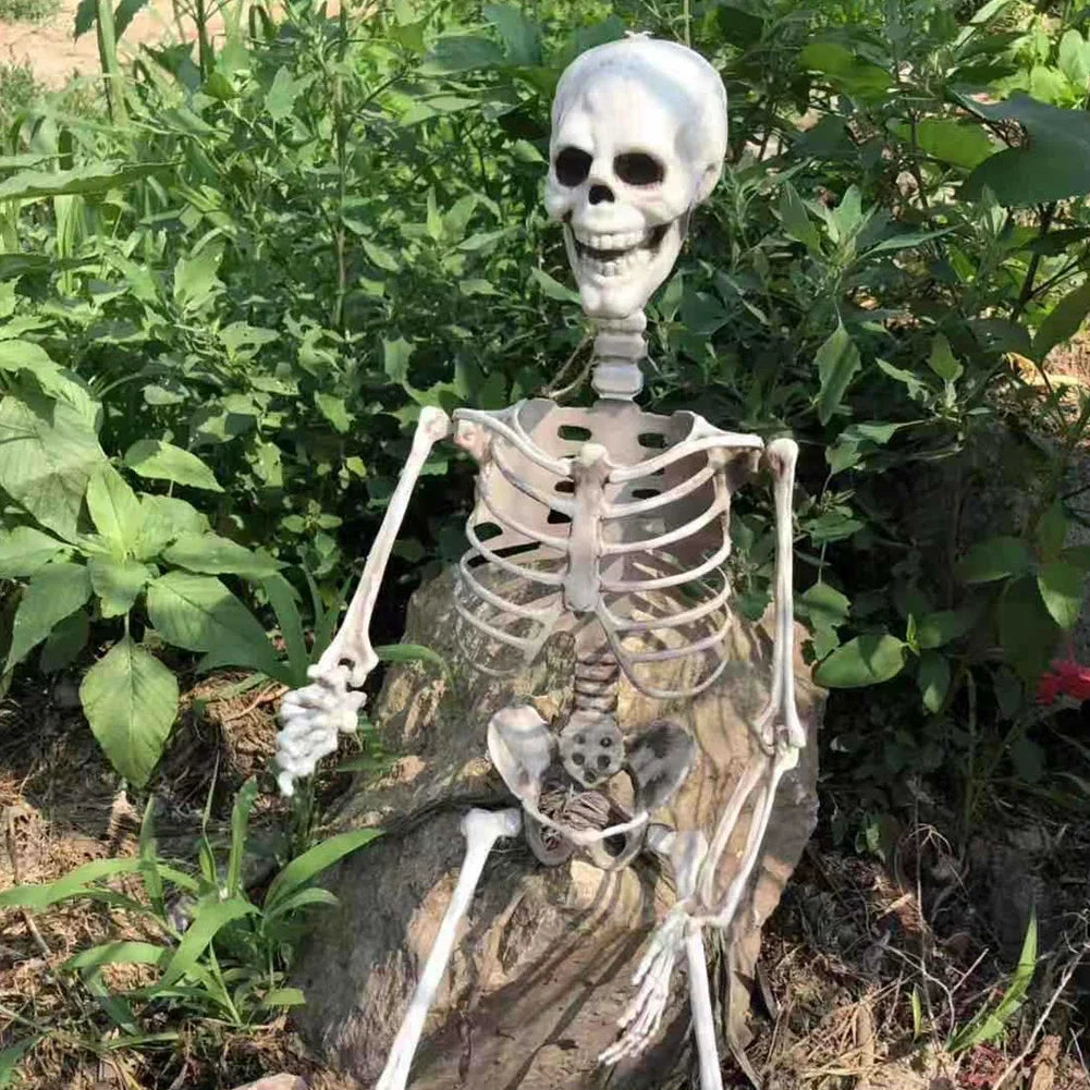 NNEOBA Movable Halloween Skeleton Human Bones Model-2